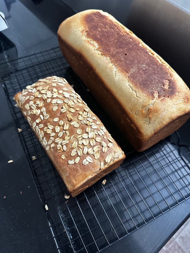 Freshly baked sourdough and shokupan loaves
